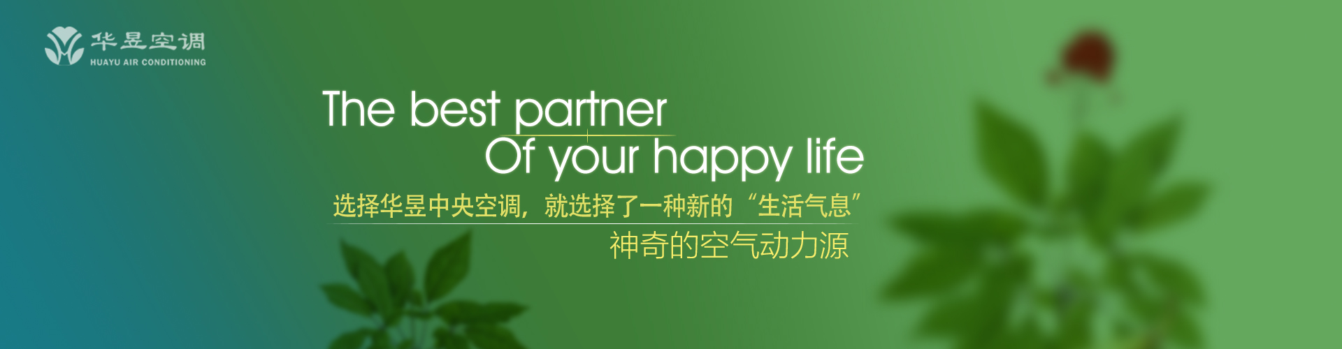 杯水舆薪网